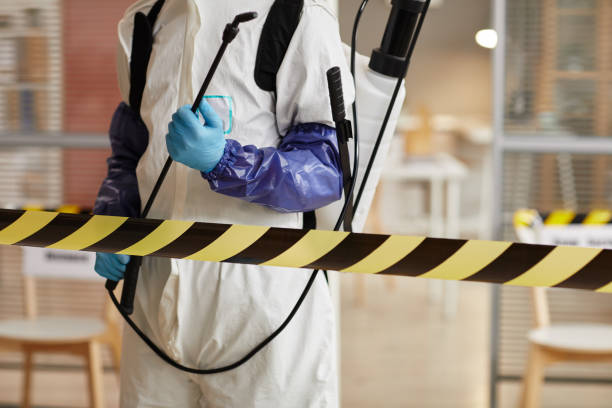 Professional Sewage Cleanup technician working in Southold, NY